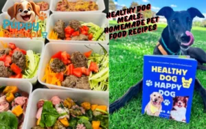 Healthy Dog Meals: Homemade Pet Food Recipes