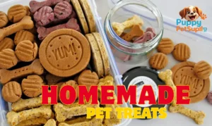 homemade pet treats