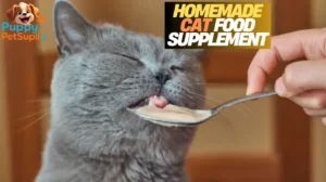 homemade cat food supplement