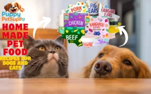 homemade pet food recipes for dogs and cats